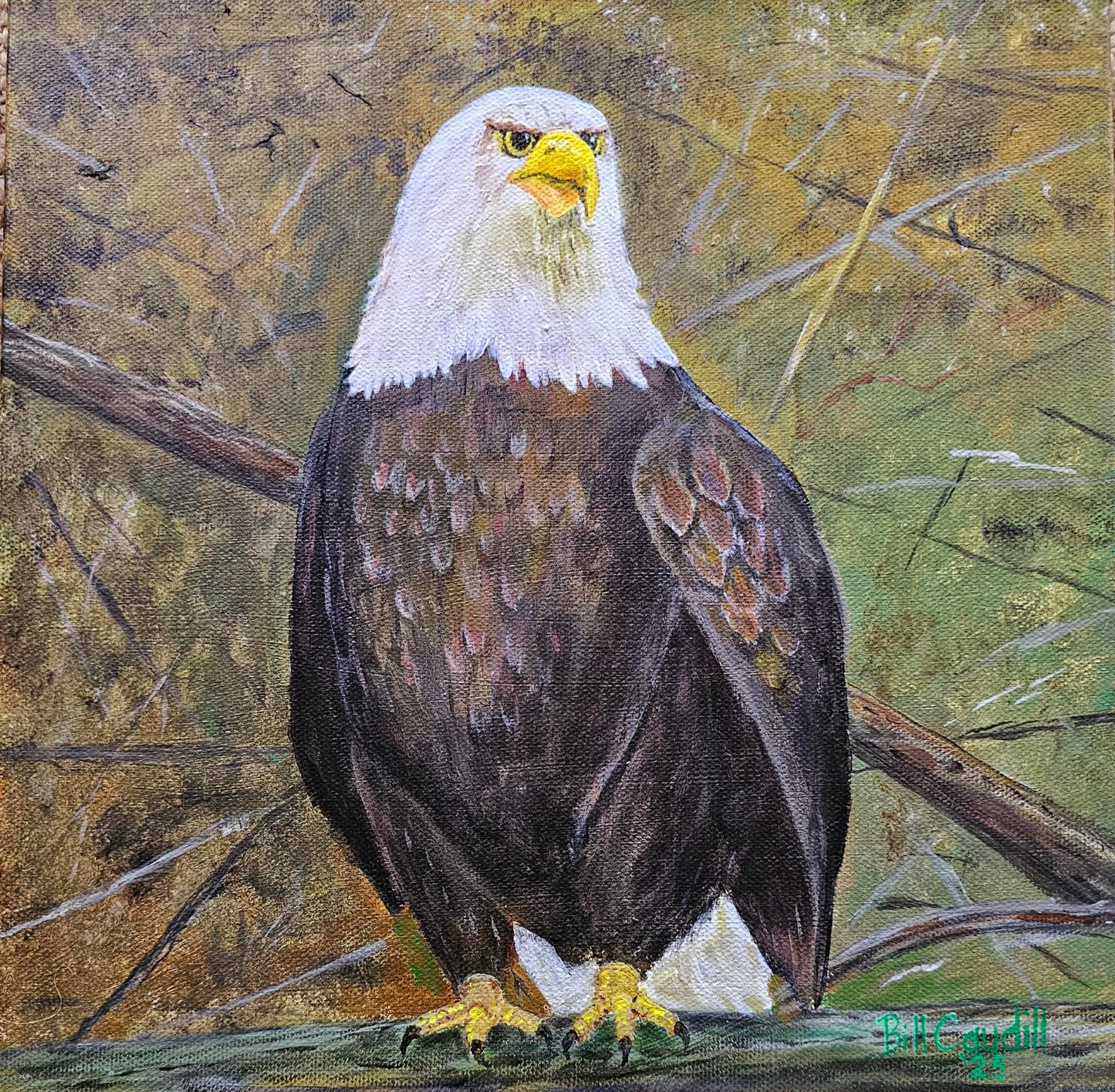 Eagle on North Fork